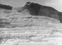 pink-and-white-terraces-3 pink-and-white-terraces-3